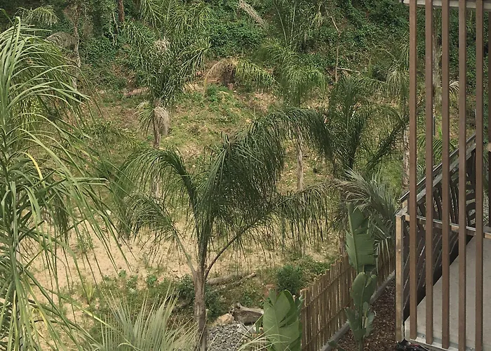 Hotel Casa Coco Boutique & 4*s - Adults Only